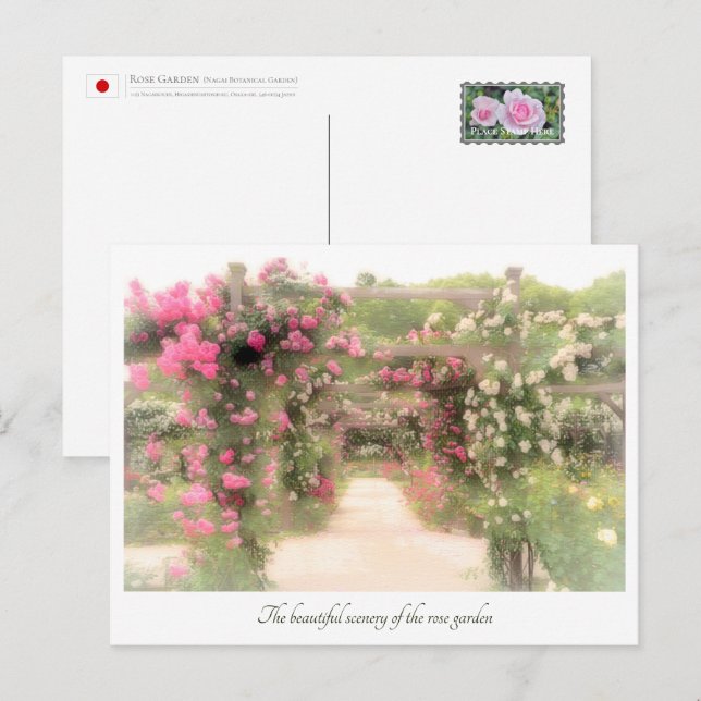 Beautiful Rose Garden Postcard (Front/Back)