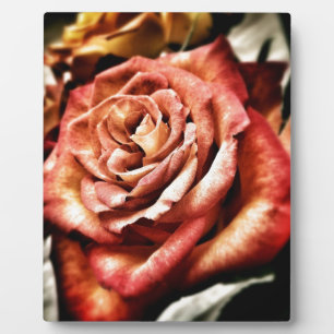 Beautiful Rose Plaque