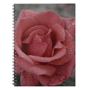 Beautiful Rose Print Notebook - Ideal for Writing