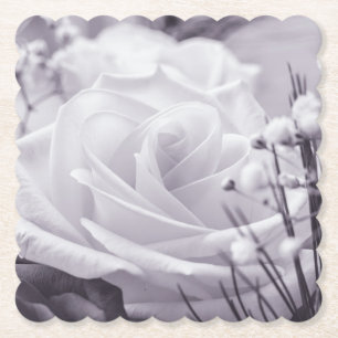 Beautiful Rose Purple Tinted Flower Paper Coaster