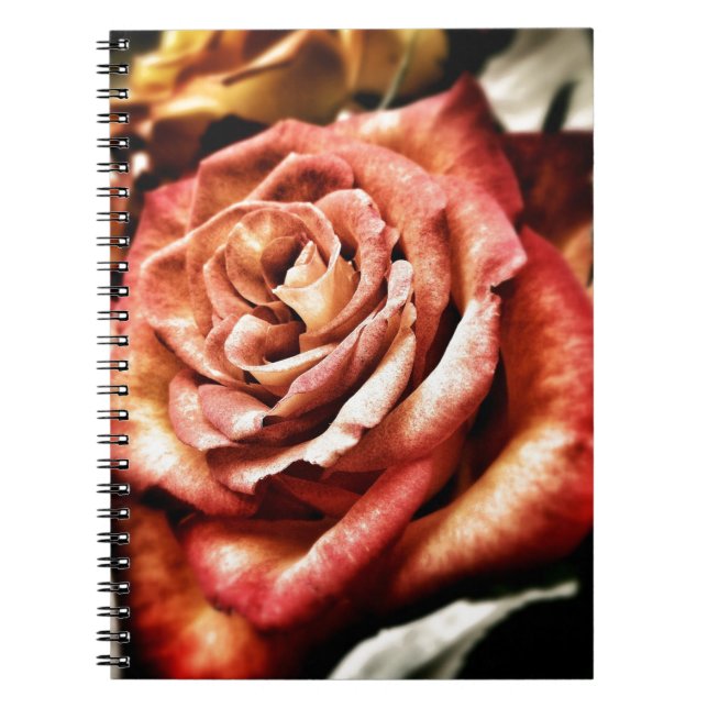 Beautiful Rose Spiral Notebook (Front)