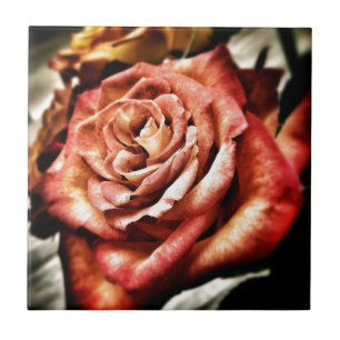 Beautiful Rose Tile