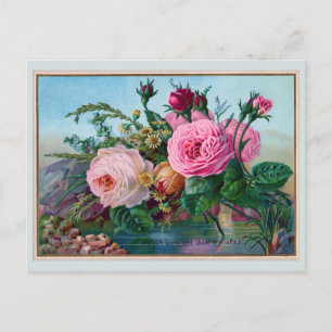 Beautiful Roses Along the Water Greeting Postcard