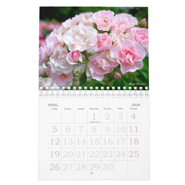 Beautiful Roses Calendar Bタイプ カレンダー (Apr 2026)