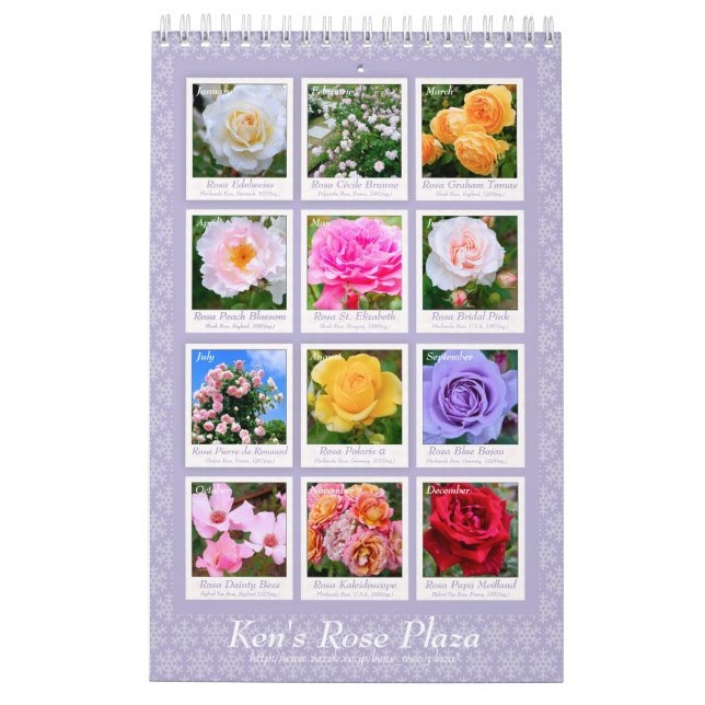 Beautiful Roses Calendar Cタイプ カレンダー (Back)