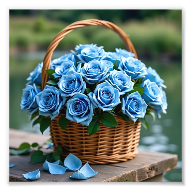 Beautiful roses in blue photo print (Front)