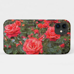Beautiful Roses, Portland, Oregon Case-Mate iPhone Case