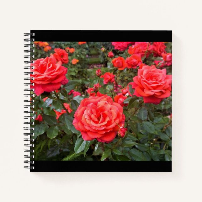 Beautiful Roses, Portland, Oregon Notebook (Front)