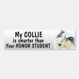 Beautiful Rough Collie dog art Bumper Sticker