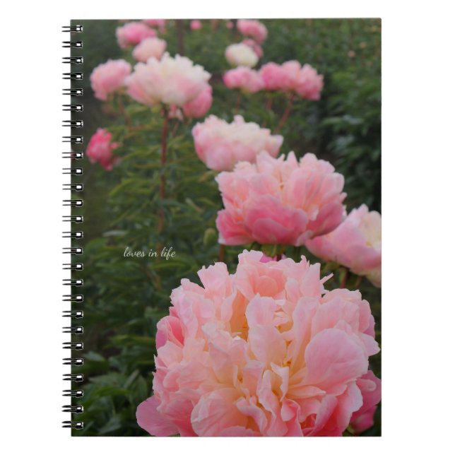 Beautiful Row of Pink Peonies Notebook (Front)