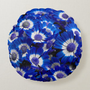 Beautiful Royal Blue Cineraria Flowers Round Cushion