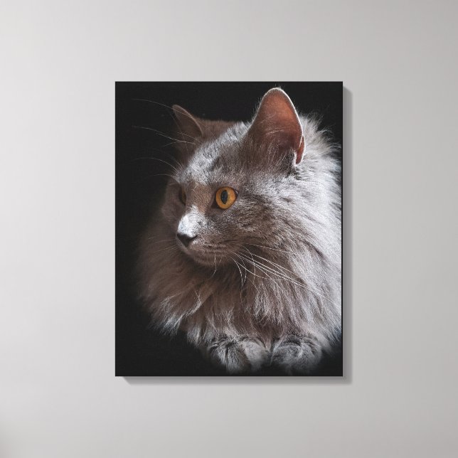 Beautiful Russian Blue Grey Cat Nebelung Canvas Print (Front)