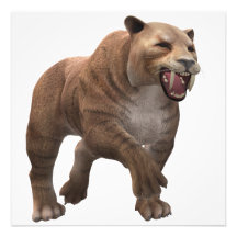 beautiful saber-toothed tiger