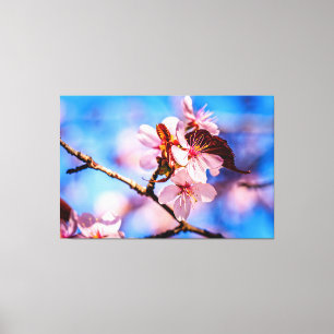 Beautiful Sakura Blossoms Canvas Print