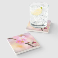 Beautiful Sakura Cherry Blossoms