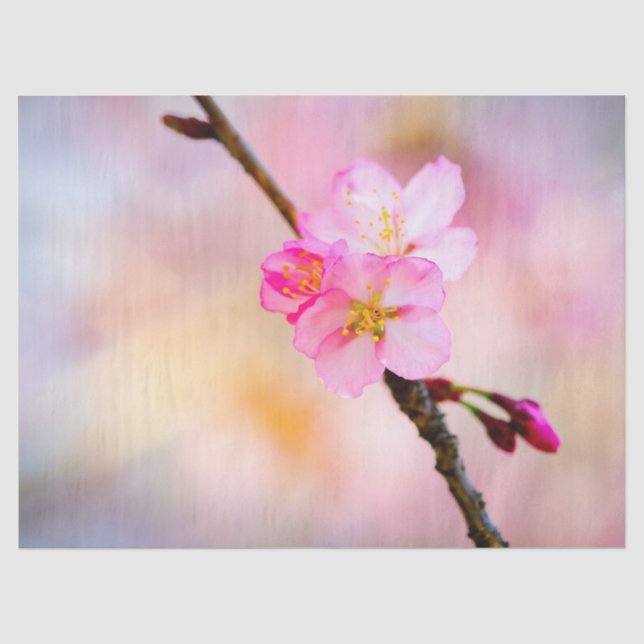Beautiful Sakura Cherry Blossoms Tissue Paper (Front)