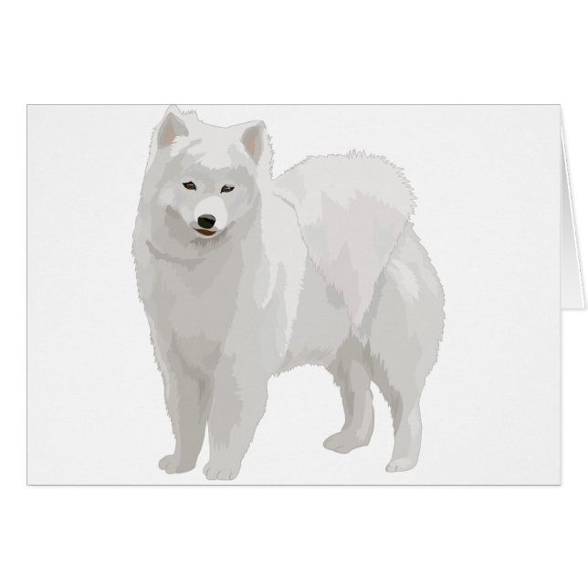 Beautiful Samoyed (Front Horizontal)