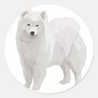 Beautiful Samoyed Classic Round Sticker