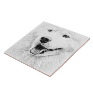 Beautiful Samoyed dog art Tile