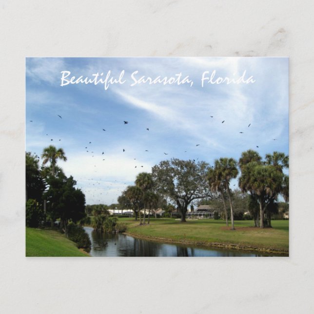 Beautiful Sarasota, Florida Postcard (Front)