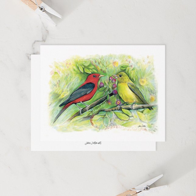 Beautiful Scarlet Tanager Couple Note Card (Beautiful Scarlet Tanager Watercolor Blank Note Cards from Jenn Steffen Art)