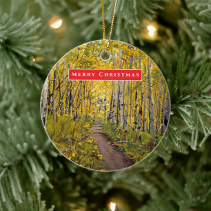 Beautiful Scenic Aspen Tree Grove Ceramic Tree Decoration