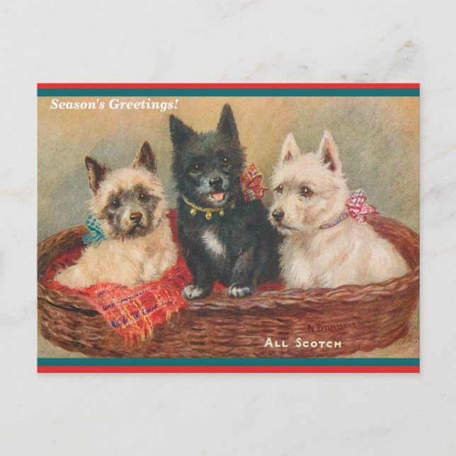 Beautiful Scottie Dogs Vintage Painting Holiday Postcard (Front)