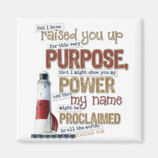 Beautiful Scripture magnet  Exodus 9:16
