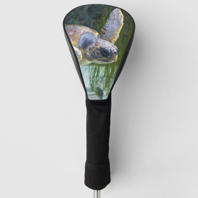 Beautiful Sea Turtle Swimming Golf Head Cover (Front)