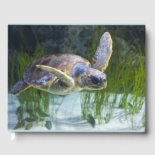 Beautiful Sea Turtle Swimming Guest Book (Front)