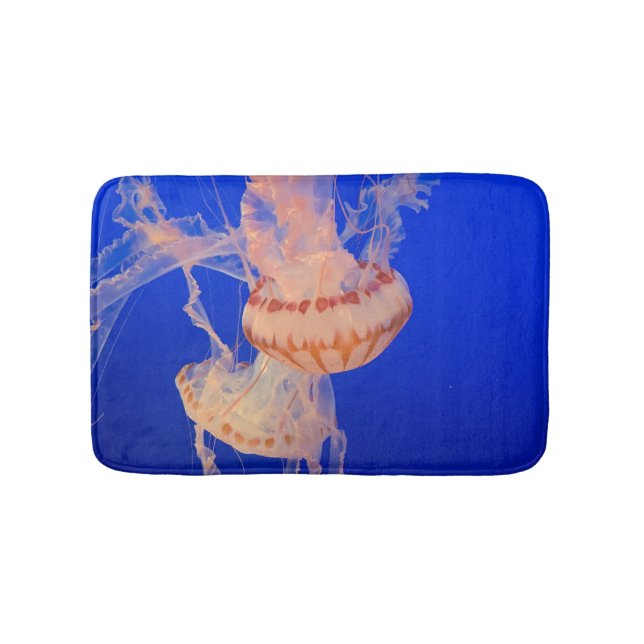 Beautiful Seascape Bath Mat (Front)
