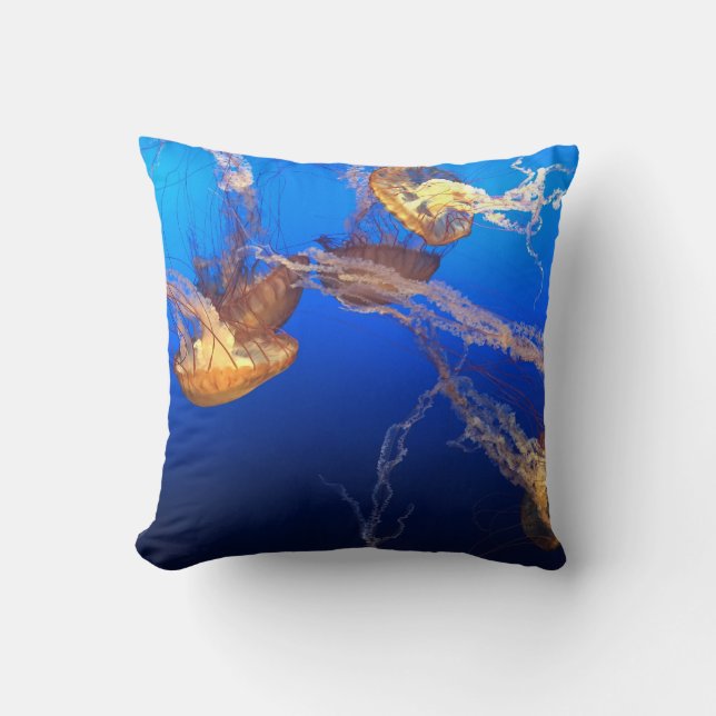 Beautiful Seascape Cushion (Front)