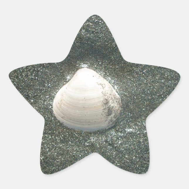 Beautiful Seashell in the Sand: A Salty Souvenir Star Sticker (Front)