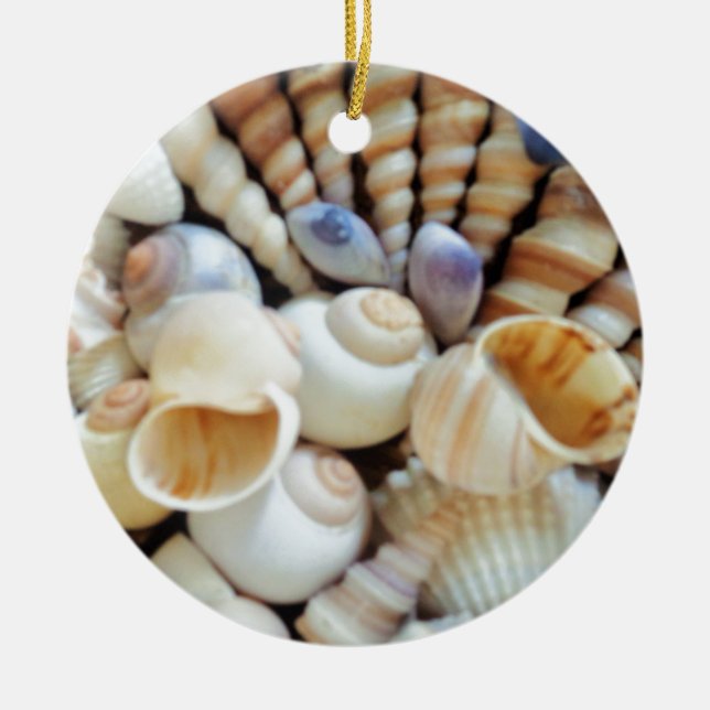 Beautiful Seashells, Summer, Beach, Shells Ceramic Tree Decoration (Front)