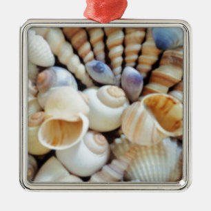 Beautiful Seashells, Summer, Beach, Shells Metal Tree Decoration