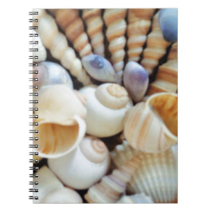 Beautiful Seashells, Summer, Beach, Shells Spiral Notebook