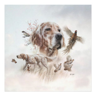 Beautiful Setter , Art Photo Print