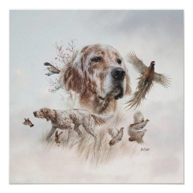 Beautiful Setter , Art Poster (Front)