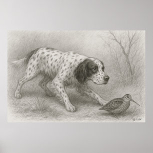 Beautiful Setter  , Art Poster