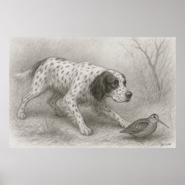 Beautiful Setter  , Art Poster (Front)