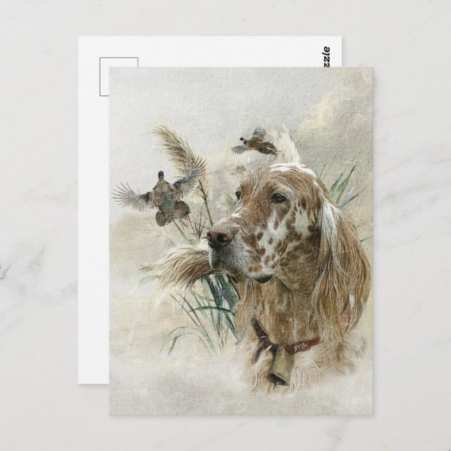 Beautiful Setter with Pheasants , Art Postcard (Front/Back)