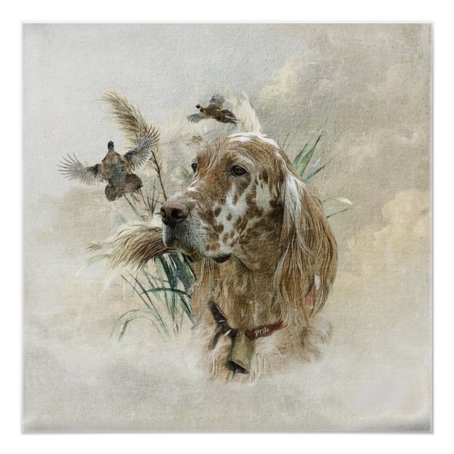 Beautiful Setter with Pheasants , Art Poster (Front)