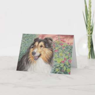 Beautiful Sheltie Card