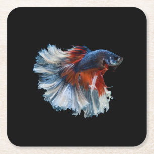 Beautiful Siamese Betta Fish Square Paper Coaster