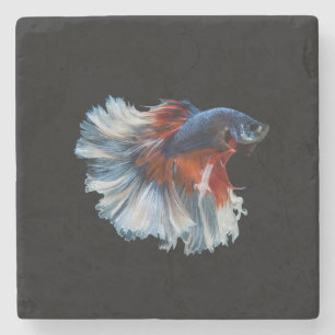 Beautiful Siamese Betta Fish Stone Coaster