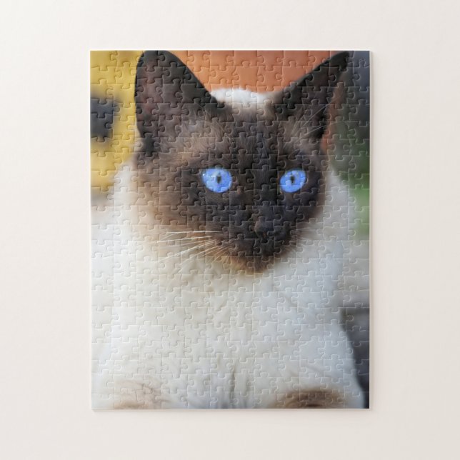 Beautiful Siamese Cat Kitten Jigsaw Puzzle (Vertical)