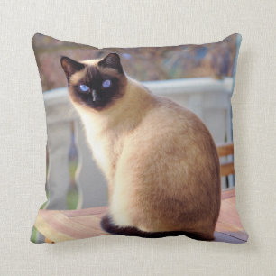 Beautiful Siamese Cat with Blue Eyes Cushion