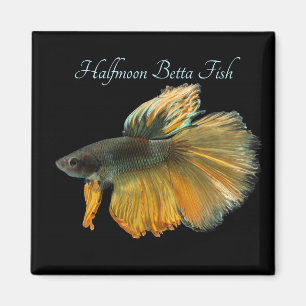 Beautiful Siamese Fighting Fish Betta Halfmoon Magnet