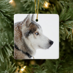 Beautiful Siberian Husky in the Snow Ceramic Ornament