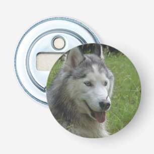 Beautiful Siberian Husky Puppy Dog Bottle Opener
